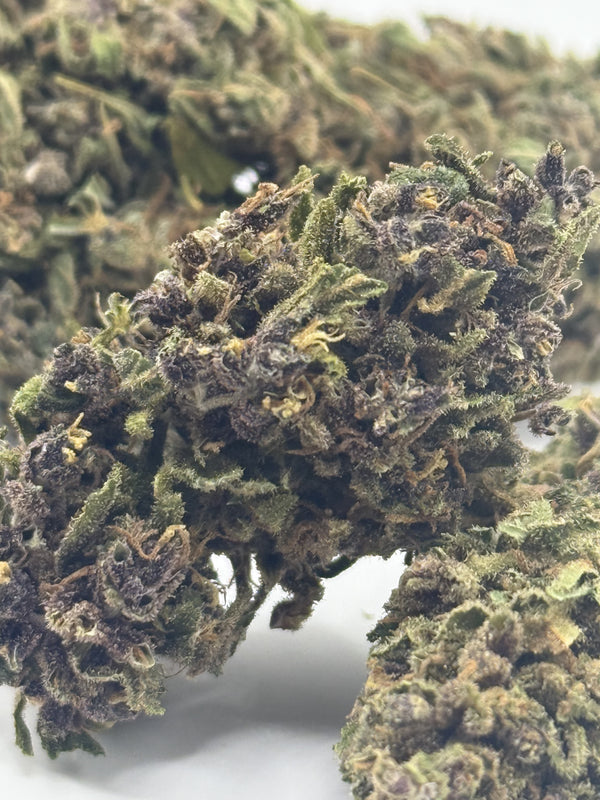 Fleurs de CBD Purple Glue